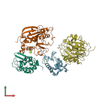 PDB entry 1nwg coloured by chain, front view.