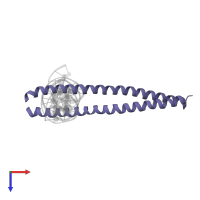 CCAAT/enhancer-binding protein alpha in PDB entry 1nwq, assembly 1, top view.