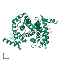 Calpain small subunit 1 in PDB entry 1nx0, assembly 1, front view.