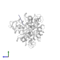 Small molecule inhibitor in PDB entry 1nx0, assembly 1, side view.