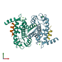 PDB entry 1nx1 coloured by chain, front view.