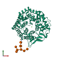 PDB entry 1nxc coloured by chain, front view.
