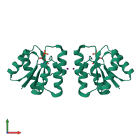 Homo dimeric assembly 1 of PDB entry 1nxt coloured by chemically distinct molecules, front view.