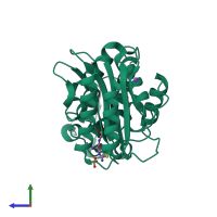 PDB entry 1nym coloured by chain, side view.