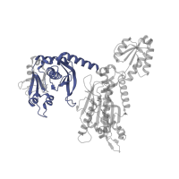 The deposited structure of PDB entry 1nyr contains 2 copies of SCOP domain 55187 (Threonyl-tRNA synthetase (ThrRS), second 'additional' domain) in Threonine--tRNA ligase. Showing 1 copy in chain A.