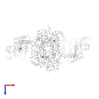 ZINC ION in PDB entry 1nyr, assembly 1, top view.