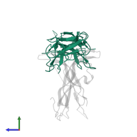 Activin receptor type-2B in PDB entry 1nyu, assembly 1, side view.