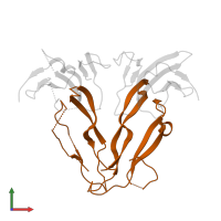 Inhibin beta A chain in PDB entry 1nyu, assembly 1, front view.