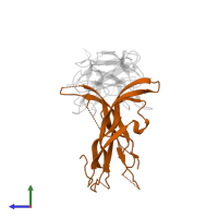 Inhibin beta A chain in PDB entry 1nyu, assembly 1, side view.