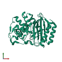 Beta-lactamase TEM in PDB entry 1nyy, assembly 1, front view.