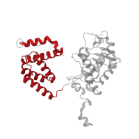 The deposited structure of PDB entry 1nzb contains 4 copies of CATH domain 1.10.150.130 (DNA polymerase; domain 1) in Recombinase cre. Showing 1 copy in chain E [auth A].