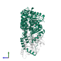 4-chlorobenzoyl coenzyme A dehalogenase in PDB entry 1nzy, assembly 2, side view.