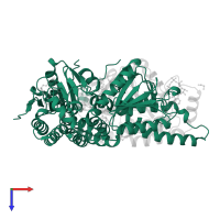 4-chlorobenzoyl coenzyme A dehalogenase in PDB entry 1nzy, assembly 2, top view.