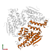 4-chlorobenzoyl coenzyme A dehalogenase in PDB entry 1nzy, assembly 2, front view.
