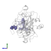 Decapeptide Hirudin Analogue in PDB entry 1o0d, assembly 1, side view.