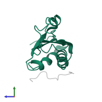 Splicing factor U2AF 65 kDa subunit in PDB entry 1o0p, assembly 1, side view.
