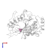 SULFATE ION in PDB entry 1o0r, assembly 1, top view.