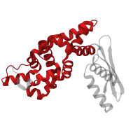 The deposited structure of PDB entry 1o0w contains 2 copies of CATH domain 1.10.1520.10 (Ribonuclease iii, N-terminal Endonuclease Domain; Chain A) in Ribonuclease 3. Showing 1 copy in chain B.