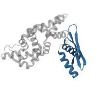 The deposited structure of PDB entry 1o0w contains 2 copies of CATH domain 3.30.160.20 (Double Stranded RNA Binding Domain) in Ribonuclease 3. Showing 1 copy in chain B.