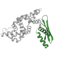 The deposited structure of PDB entry 1o0w contains 2 copies of Pfam domain PF00035 (Double-stranded RNA binding motif) in Ribonuclease 3. Showing 1 copy in chain B.