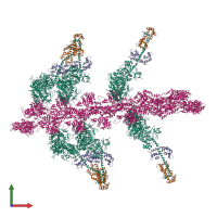 Hetero 32-meric assembly 1 of PDB entry 1o1a coloured by chemically distinct molecules, front view.