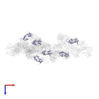 Myosin light chain 3, skeletal muscle isoform in PDB entry 1o1a, assembly 1, top view.