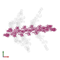 Actin, alpha skeletal muscle in PDB entry 1o1a, assembly 1, front view.