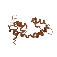 The deposited structure of PDB entry 1o1c contains 5 copies of SCOP domain 64618 (Muscle protein complexes) in Myosin light chain 3, skeletal muscle isoform. Showing 1 copy in chain C.