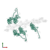 Myosin heavy chain, skeletal muscle, adult in PDB entry 1o1c, assembly 1, front view.