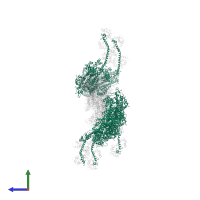 Myosin heavy chain, skeletal muscle, adult in PDB entry 1o1c, assembly 1, side view.