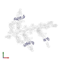 Myosin light chain 3, skeletal muscle isoform in PDB entry 1o1c, assembly 1, front view.