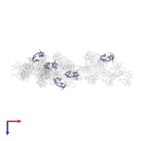 Myosin light chain 3, skeletal muscle isoform in PDB entry 1o1c, assembly 1, top view.