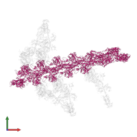 Actin, alpha skeletal muscle in PDB entry 1o1c, assembly 1, front view.