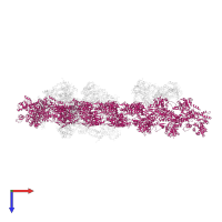 Actin, alpha skeletal muscle in PDB entry 1o1c, assembly 1, top view.