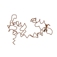 The deposited structure of PDB entry 1o1d contains 6 copies of SCOP domain 64618 (Muscle protein complexes) in Myosin light chain 3, skeletal muscle isoform. Showing 1 copy in chain C.