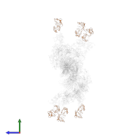 Myosin regulatory light chain 11 in PDB entry 1o1d, assembly 1, side view.