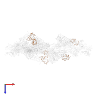 Myosin regulatory light chain 11 in PDB entry 1o1d, assembly 1, top view.