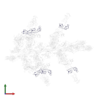 Myosin light chain 3, skeletal muscle isoform in PDB entry 1o1d, assembly 1, front view.