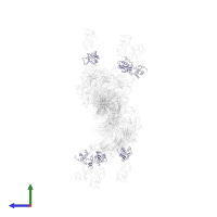 Myosin light chain 3, skeletal muscle isoform in PDB entry 1o1d, assembly 1, side view.