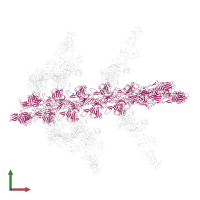 Actin, alpha skeletal muscle in PDB entry 1o1d, assembly 1, front view.