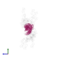 Actin, alpha skeletal muscle in PDB entry 1o1d, assembly 1, side view.