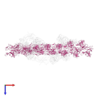 Actin, alpha skeletal muscle in PDB entry 1o1d, assembly 1, top view.