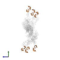 Myosin regulatory light chain 11 in PDB entry 1o1e, assembly 1, side view.