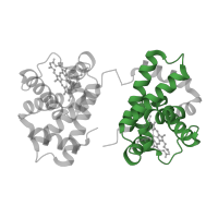 The deposited structure of PDB entry 1o1n contains 1 copy of Pfam domain PF00042 (Globin) in Hemoglobin subunit alpha. Showing 1 copy in chain A.