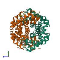 Hetero tetrameric assembly 1 of PDB entry 1o1o coloured by chemically distinct molecules, side view.