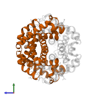 Hemoglobin subunit beta in PDB entry 1o1o, assembly 1, side view.