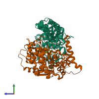 PDB entry 1o1r coloured by chain, side view.