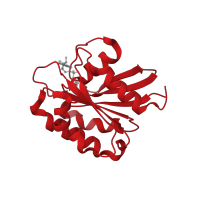 The deposited structure of PDB entry 1o3y contains 2 copies of CATH domain 3.40.50.300 (Rossmann fold) in ADP-ribosylation factor 1. Showing 1 copy in chain A.