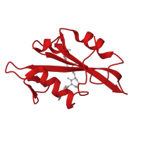 The deposited structure of PDB entry 1o42 contains 1 copy of CATH domain 3.30.505.10 (SHC Adaptor Protein) in Proto-oncogene tyrosine-protein kinase Src. Showing 1 copy in chain A.