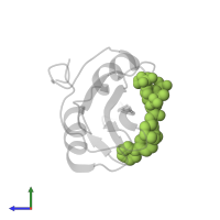 N-ACETYL-N-[1-(1,1'-BIPHENYL-4-YLMETHYL)-2-OXOAZEPAN-3-YL]-3,4-DIPHOSPHONOPHENYLALANINAMIDE in PDB entry 1o4b, assembly 1, side view.